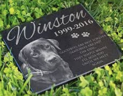 13 Pet Memorial Gifts that Are Easy to Find Online