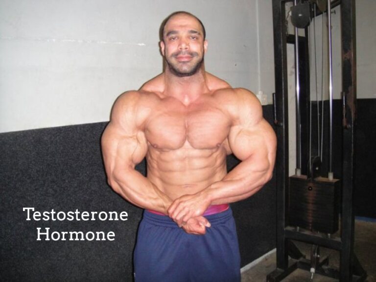 What Is Testosterone Hormone?