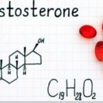 What Is Testosterone Hormone and How Does It Work?