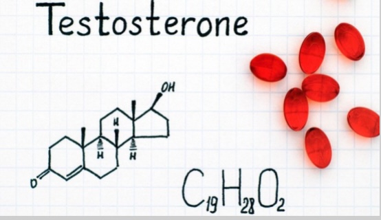 What Is Testosterone Hormone and How Does It Work?
