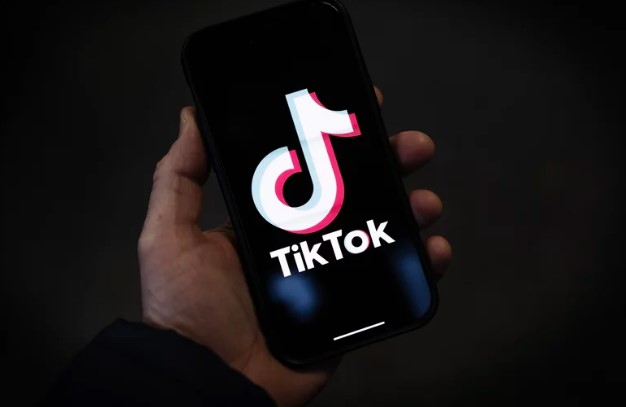 Future of Ssstiktok and Other Tiktok Downloaders