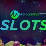 The Top Microgaming Slots
