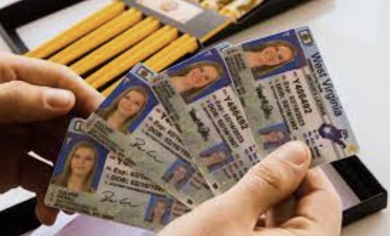 Where to Find Genuine Fake IDs from a Fake ID God