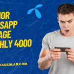 Telenor WhatsApp Package Monthly 4000 MB