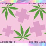 Comprehensive Guide on How Many Hits of CBD a Day