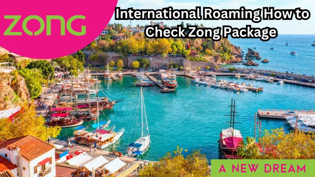 International Roaming How to Check Zong Package