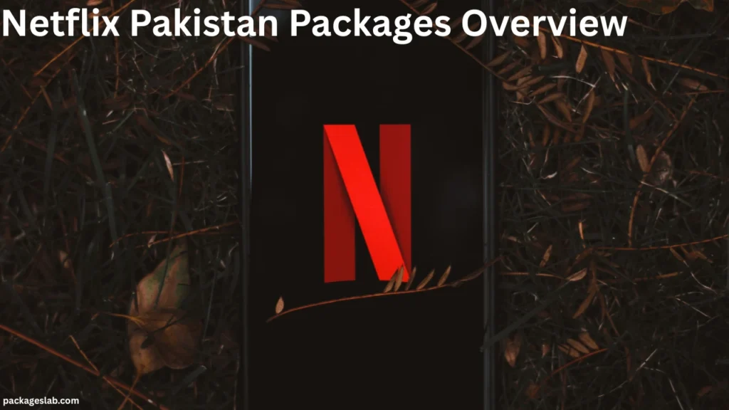 Netflix Pakistan Packages Overview