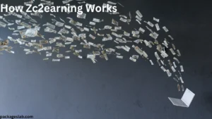 How Zc2earning Works