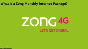 What is a Zong Monthly Internet Package