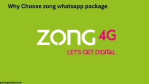 Why Choose zong whatsapp package