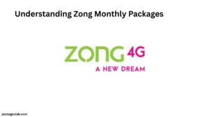 Understanding Zong Monthly Packages