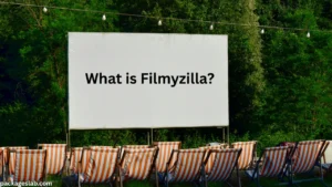 What is Filmyzilla