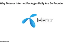 Why Telenor Internet Packages Daily Are So Popular