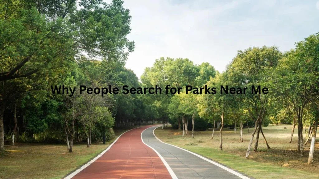 Why People Search for Parks Near Me