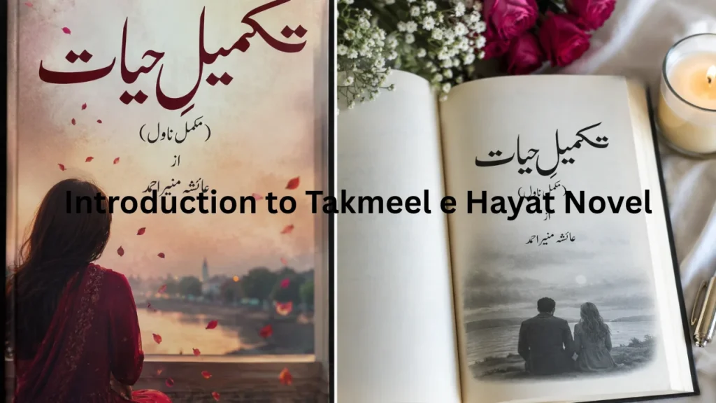 Introduction to Takmeel e Hayat Novel