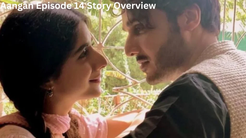Aangan Episode 14 Story Overview